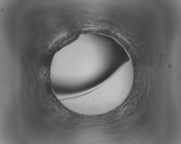 X0000064061351200601270923