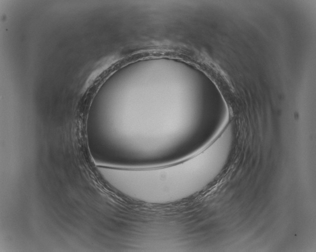 X0000064061352200601270923