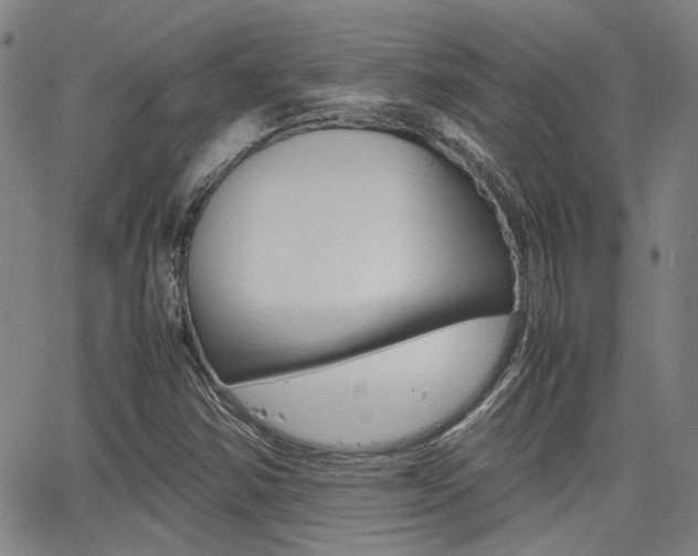 X0000064061354200601270923