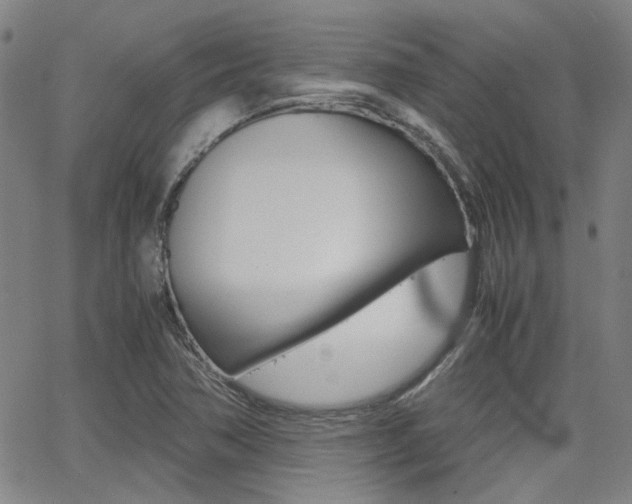 X0000064061362200601270923