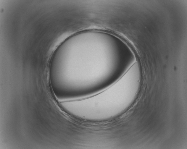 X0000064061367200601270923