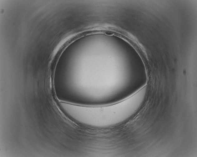 X0000064061368200601270923
