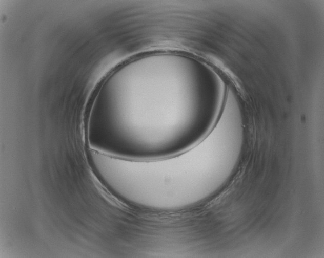 X0000064061372200601270923