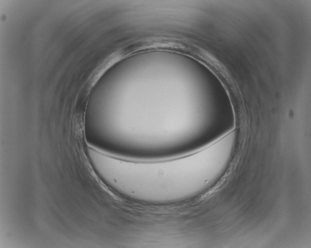 X0000064061377200601270923