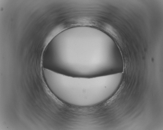 X0000064061378200601270923