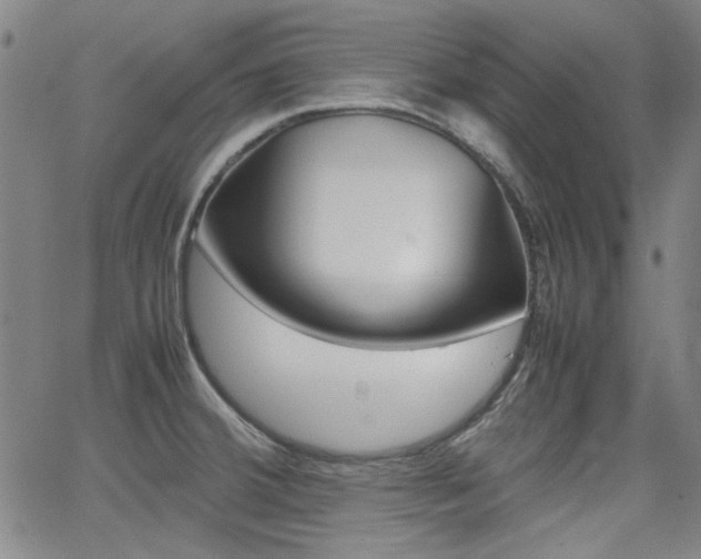 X0000064061380200601270923