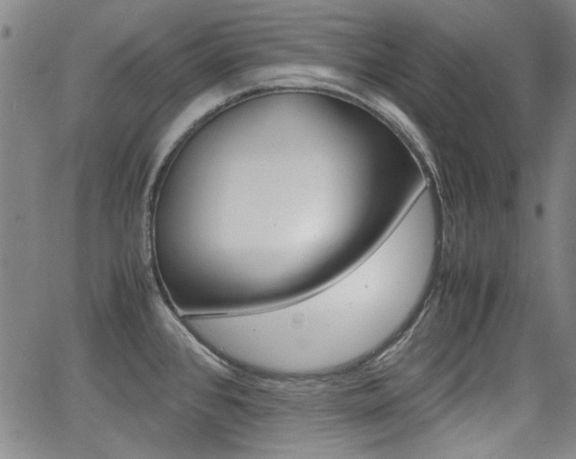 X0000064061384200601270923