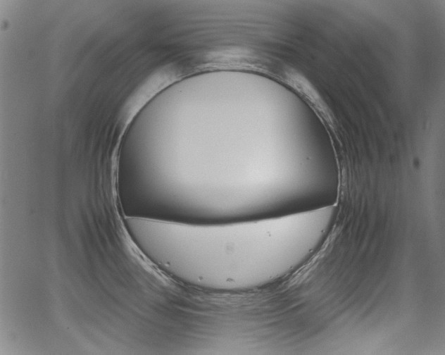 X0000064061386200601270923