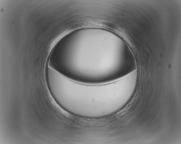 X0000064061387200601270923