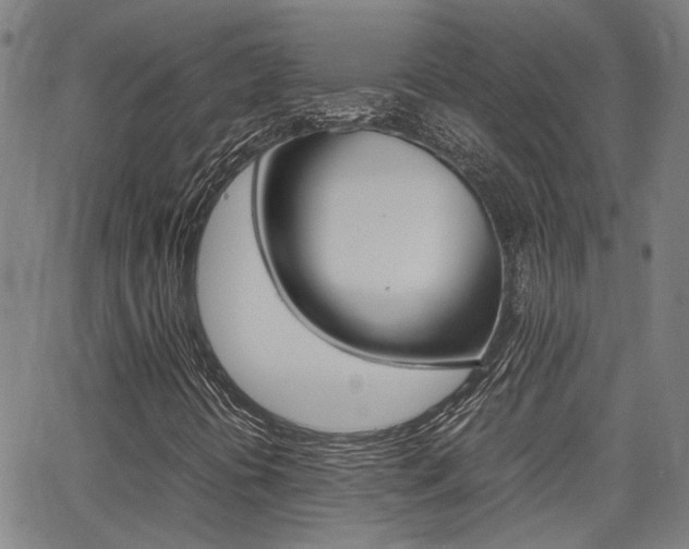X0000064061394200601270922