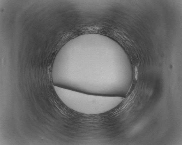 X0000064061395200601270922