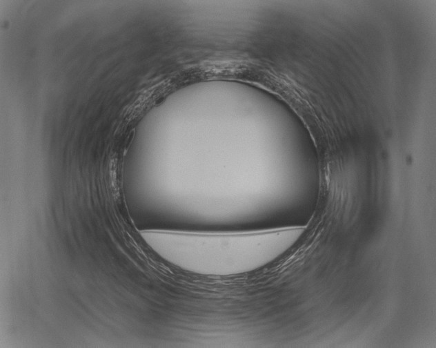 X0000064061396200601270922