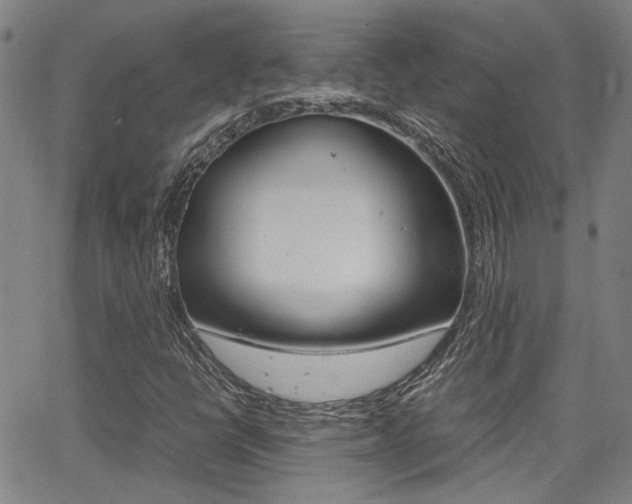 X0000064061398200601270922