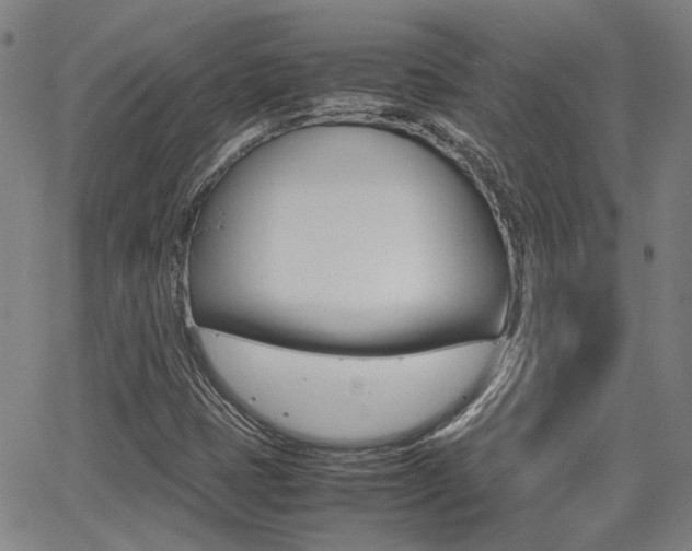 X0000064061401200601270922