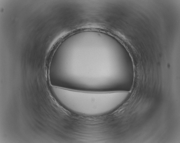 X0000064061408200601270922