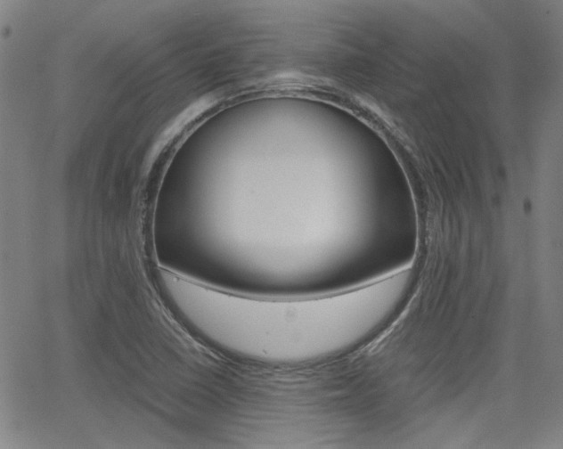 X0000064061410200601270922