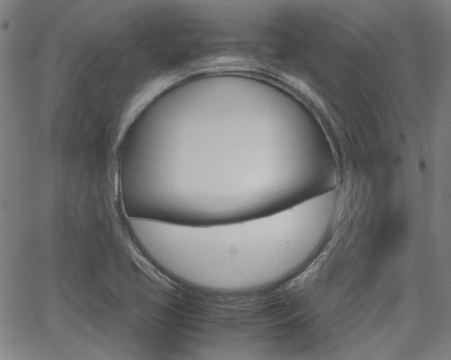 X0000064061413200601270922