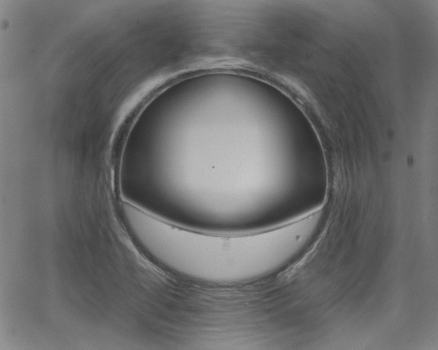 X0000064061414200601270922