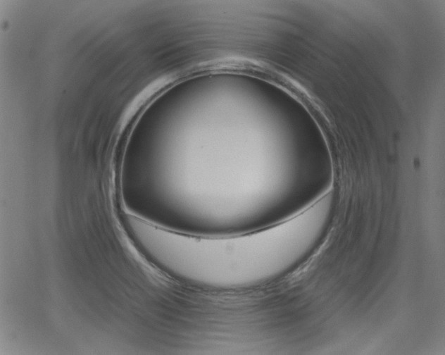 X0000064061418200601270922