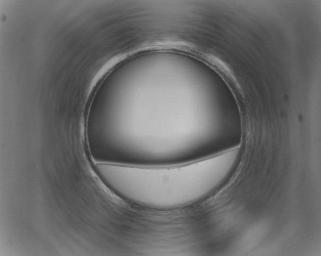 X0000064061420200601270922