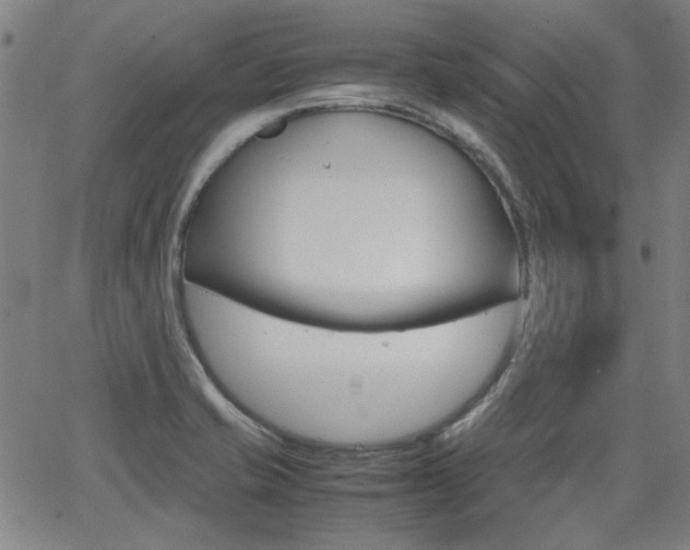 X0000064061421200601270922
