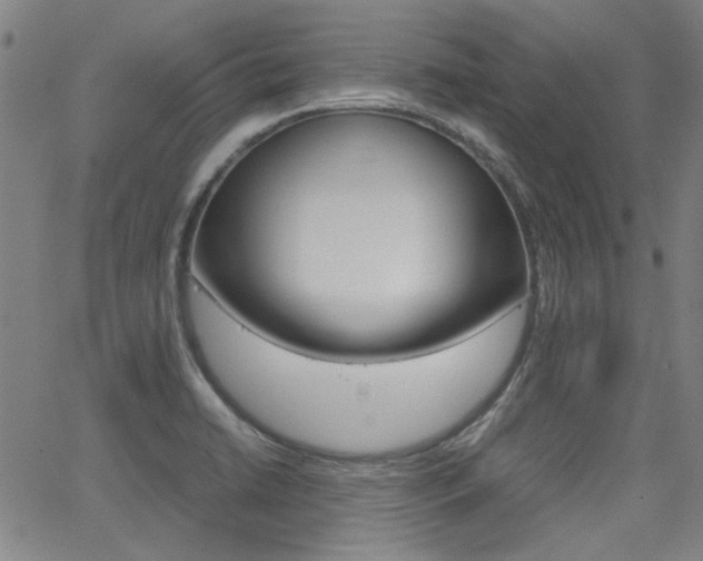 X0000064061422200601270922