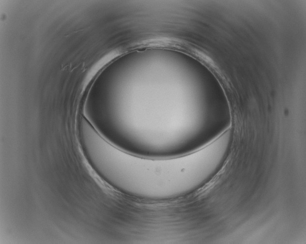 X0000064061426200601270922