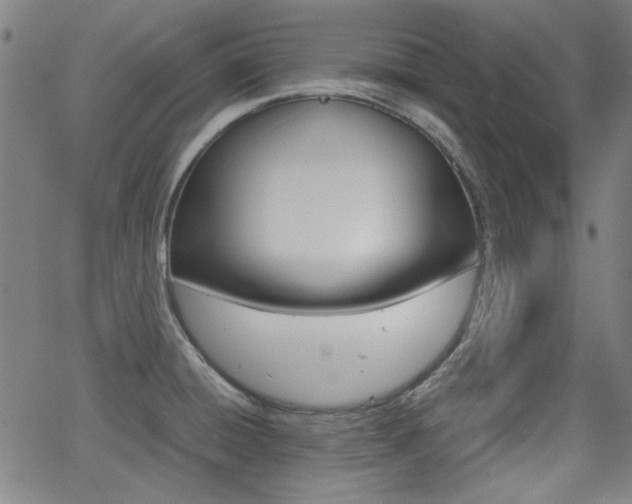 X0000064061428200601270922