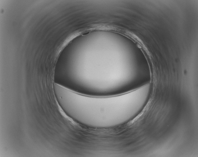 X0000064061433200601270922