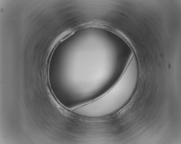 X0000064061434200601270922