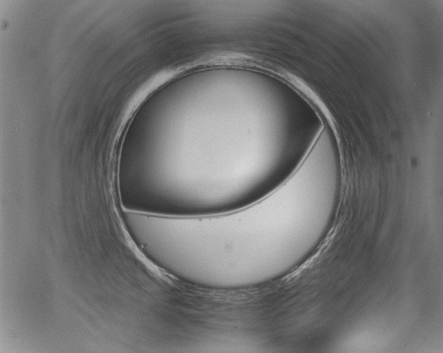 X0000064061437200601270922