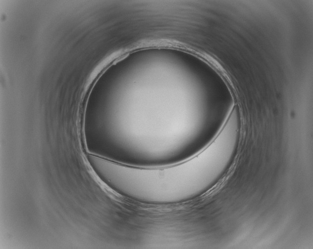 X0000064061438200601270922