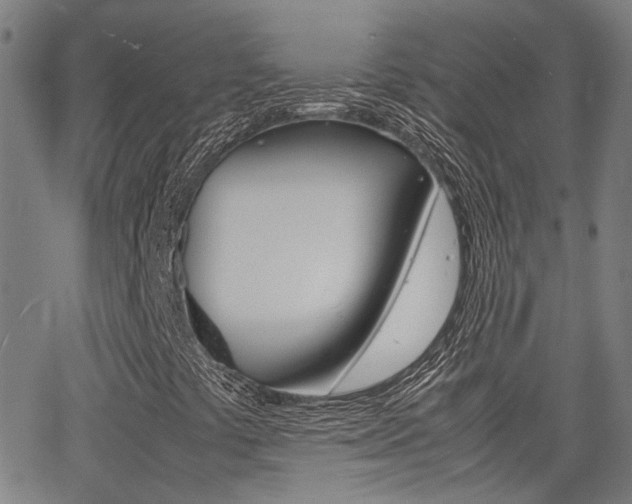 X0000064061441200601270922