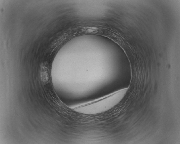 X0000064061442200601270922