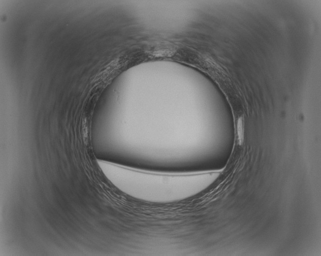 X0000064061443200601270922