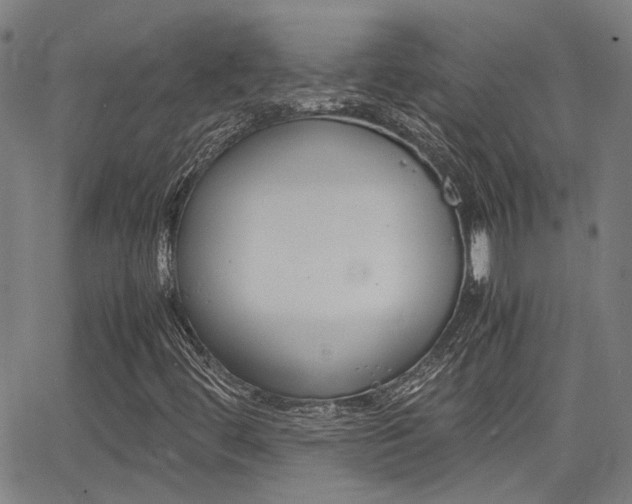 X0000064061444200601270922