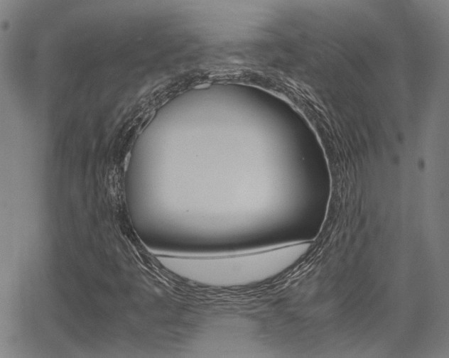 X0000064061445200601270922