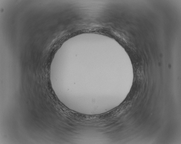 X0000064061447200601270922