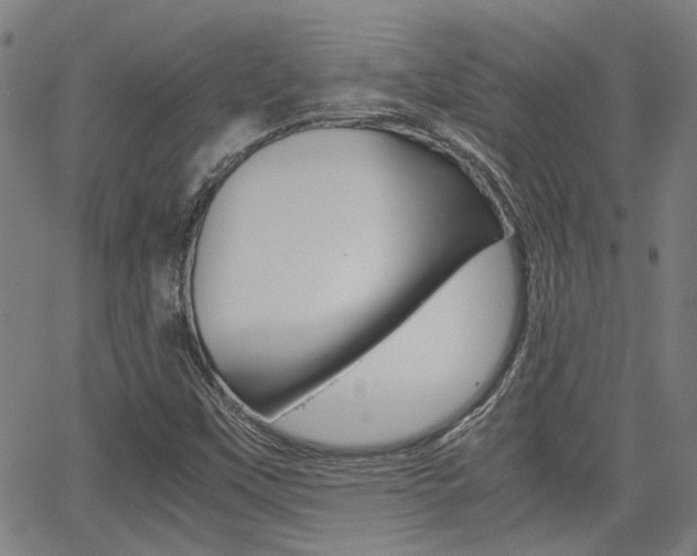 X0000064061451200601270921