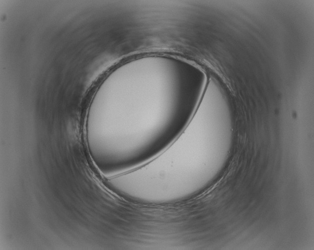 X0000064061452200601270921