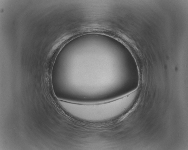 X0000064061453200601270921