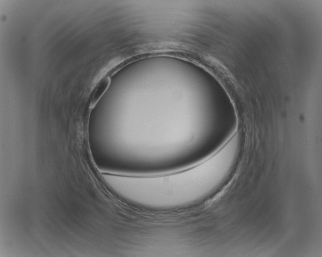 X0000064061457200601270921