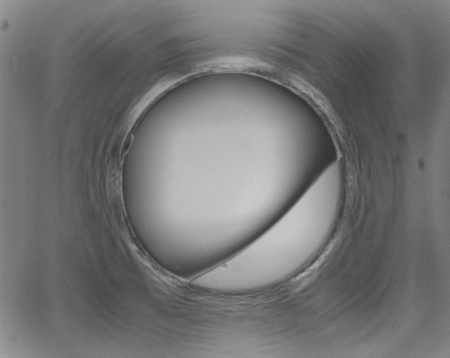X0000064061473200601270921