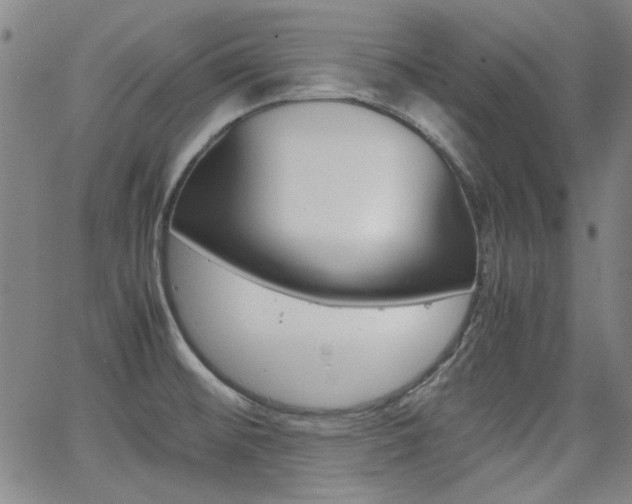 X0000064061476200601270921