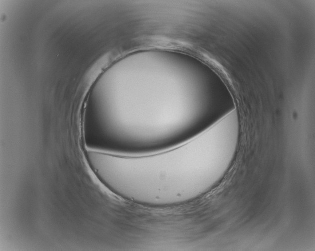 X0000064061479200601270921