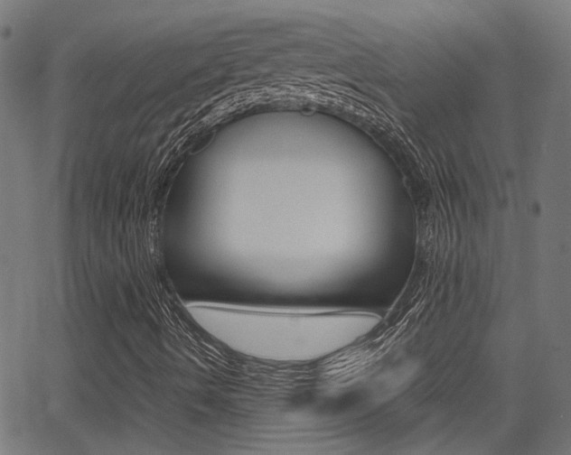 X0000064061490200601270920