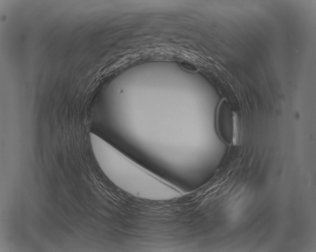 X0000064061491200601270920