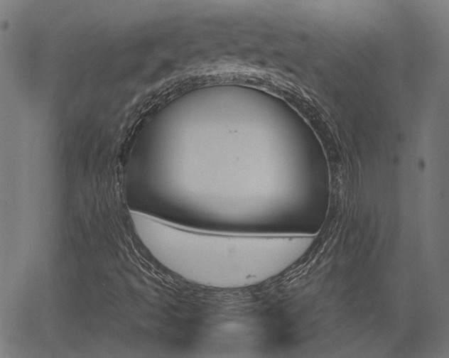 X0000064061493200601270920