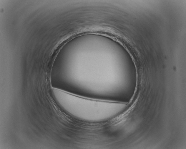 X0000064061497200601270920