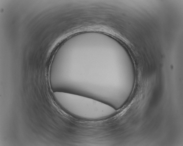 X0000064061498200601270920